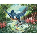 Kingfisher