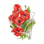 Poppy